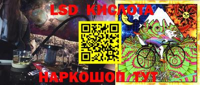 шишки Кингисепп
