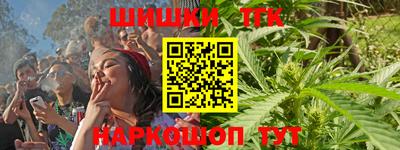 шишки Кингисепп