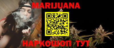 шишки Кингисепп