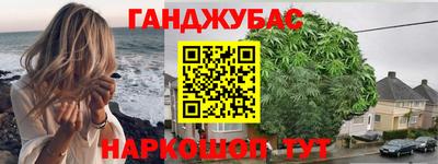 шишки Кингисепп